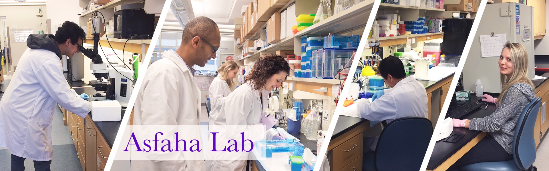 Put new alt tag here